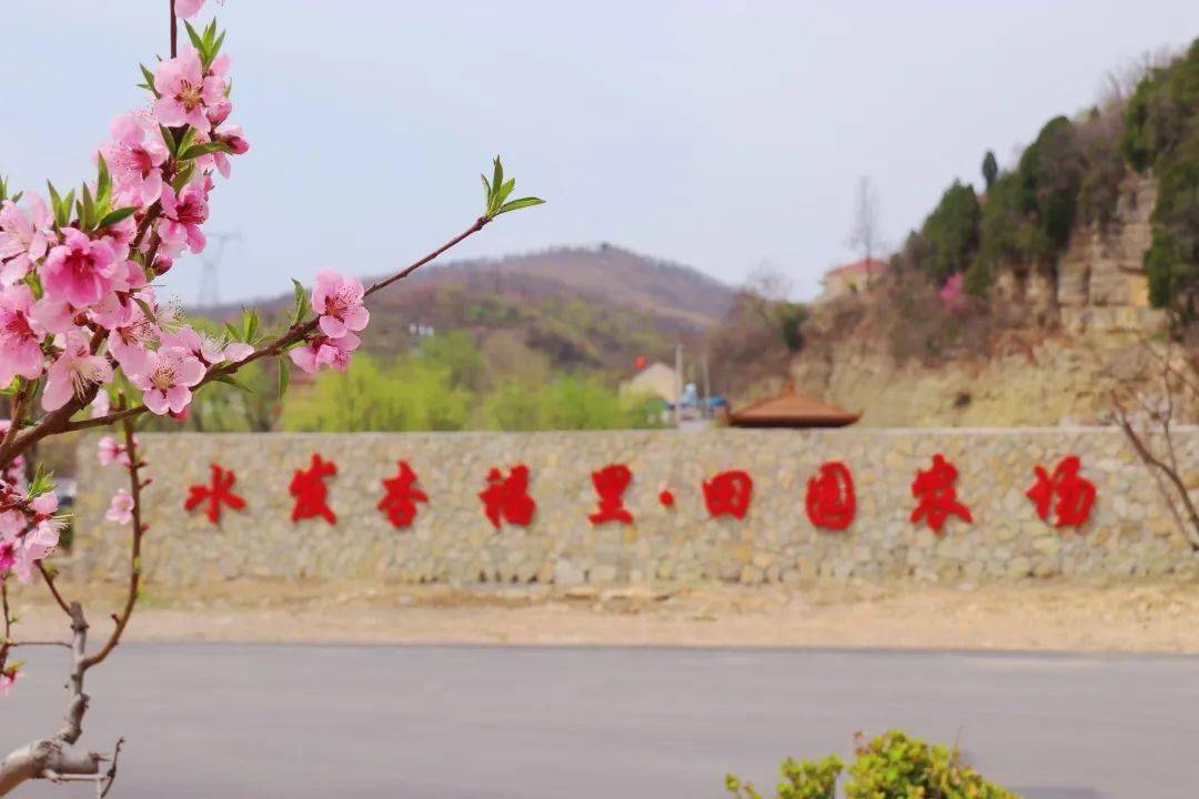 依托街道区位环境优势,将老龙湾,海浮山等优美的自然风光,王舍葡萄