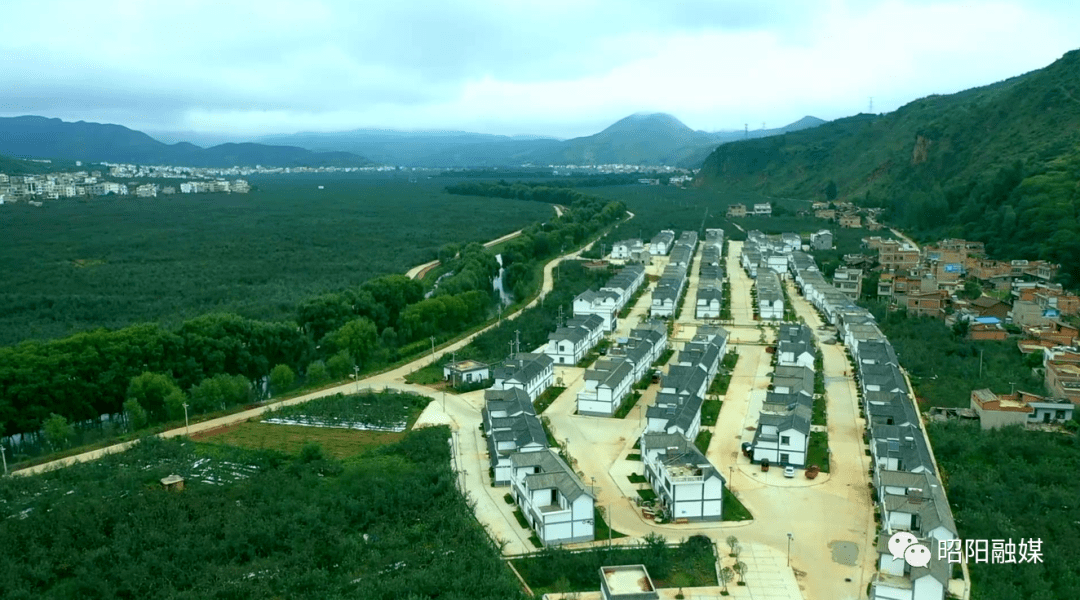 小店区副区长张洁图片