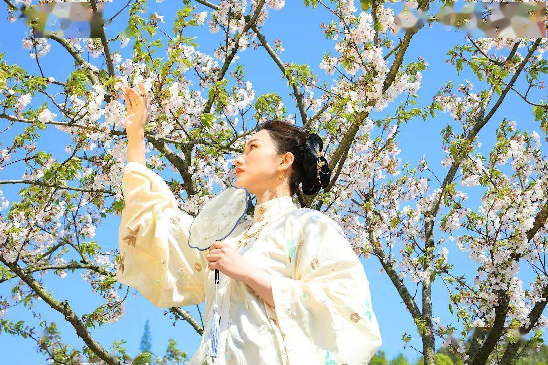 温岭城南后岭花开踏青季来啦这绝等美景错过就要等1年门票仅99元人