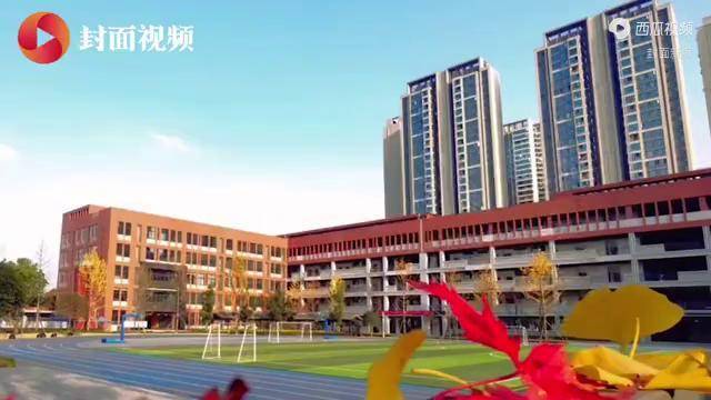 有效防疫高效放学走进成都市成华小学校熊猫小记者探校