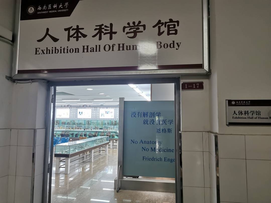 西南医科大学人体科学馆获批20212025年度第一批全国科普教育基地