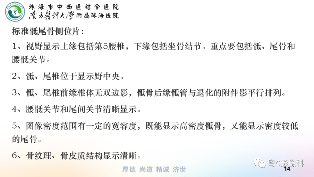 基础巩固:骶尾骨正侧位x线摄影_诊断_结构_肿瘤