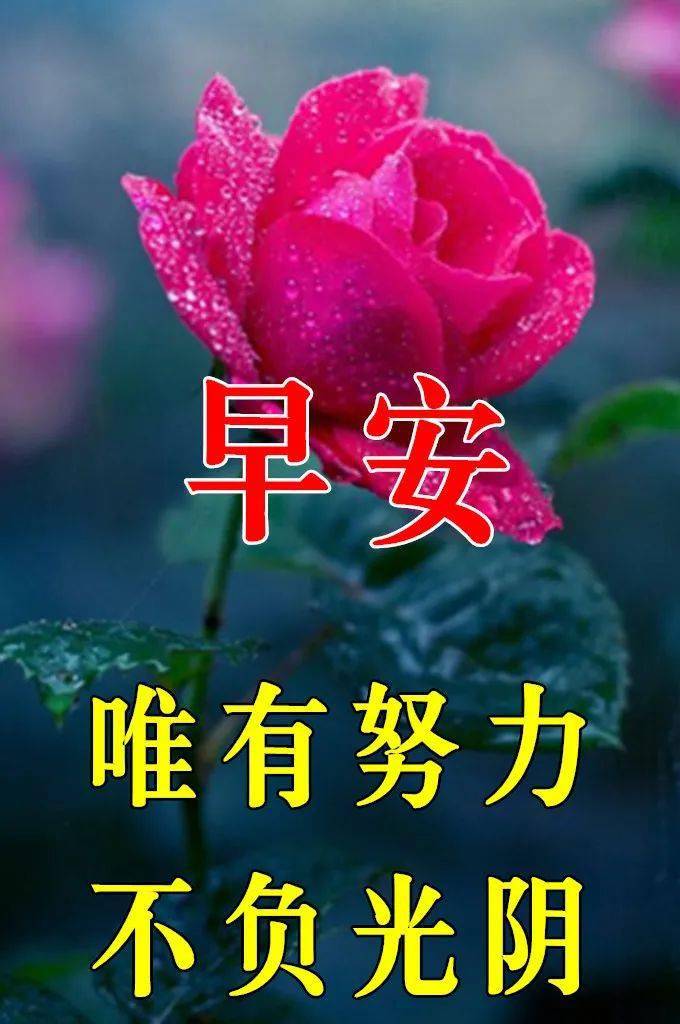 4月11日最新周一早上好动态表情图片大全春天早上好问候语句子