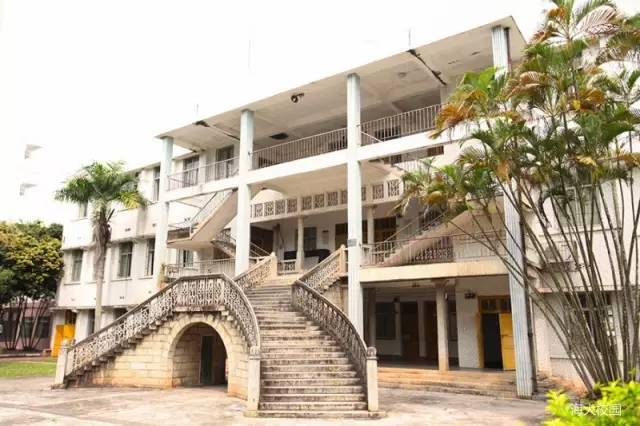 风物说|两院:你说一叶立秋,我说一叶知春_儋州_落叶_叶是