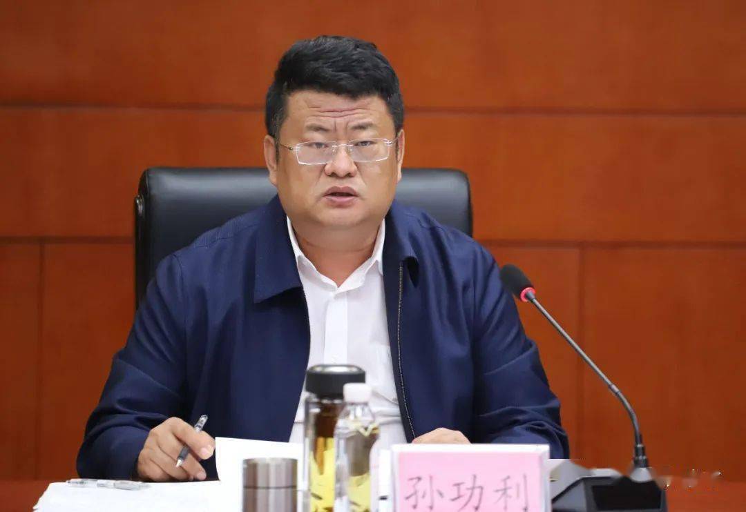 庄河市政府召开会议,研究部署项目建设工作