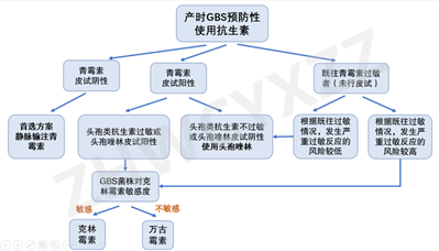 预防围产期b族链球菌病中国专家共识解读