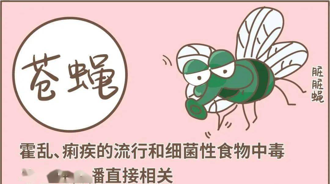 爱国卫生月如何防制你身边的病媒生物
