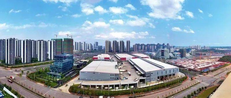 坚持“项目为王”做强枢纽经济 南宁市西部陆海新通道重要节点城市建设成效凸显_国际_南宁市_陆海新