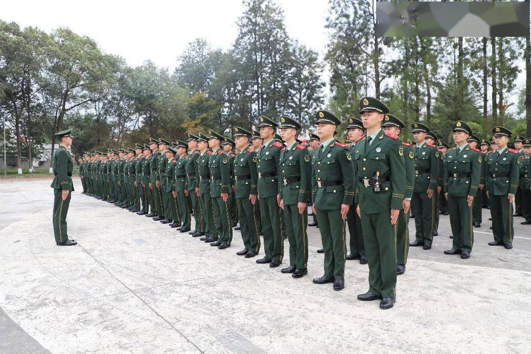 橄榄绿武警北京总队执勤第九支队武警第二机动总队某支队武警河北总队