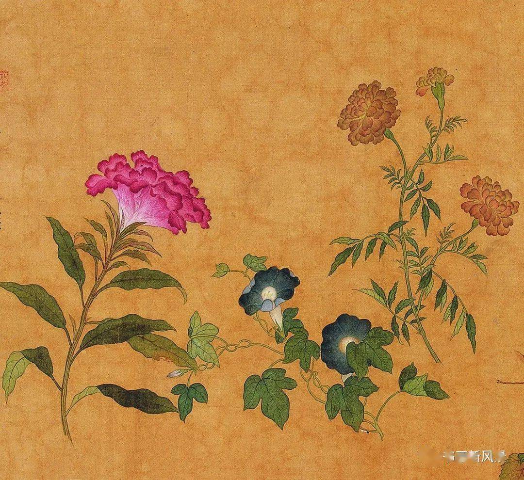 马荃_长卷_花卉