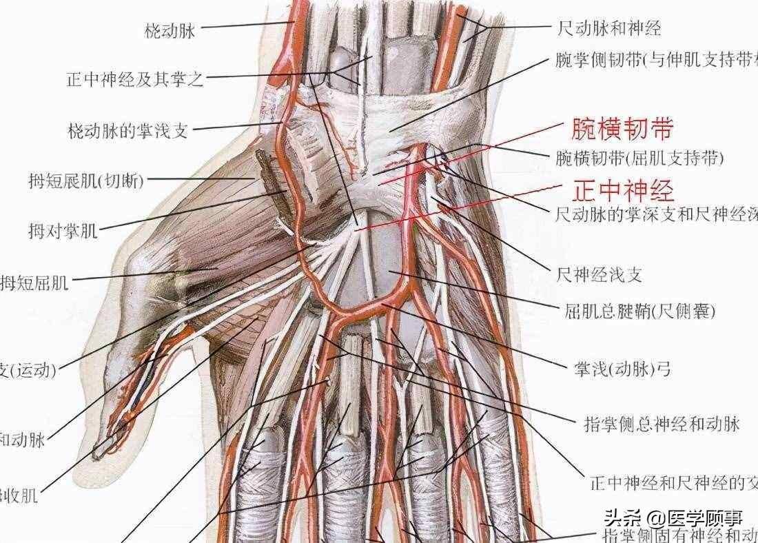 神经卡压综合征有哪些表现及如何诊断?