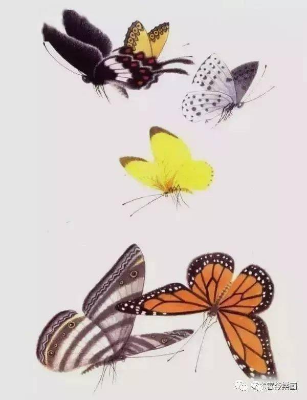 赏心悦目!1000只高清工笔蝴蝶,画蝶三剑客惊艳国人!_荣州_中国_四川
