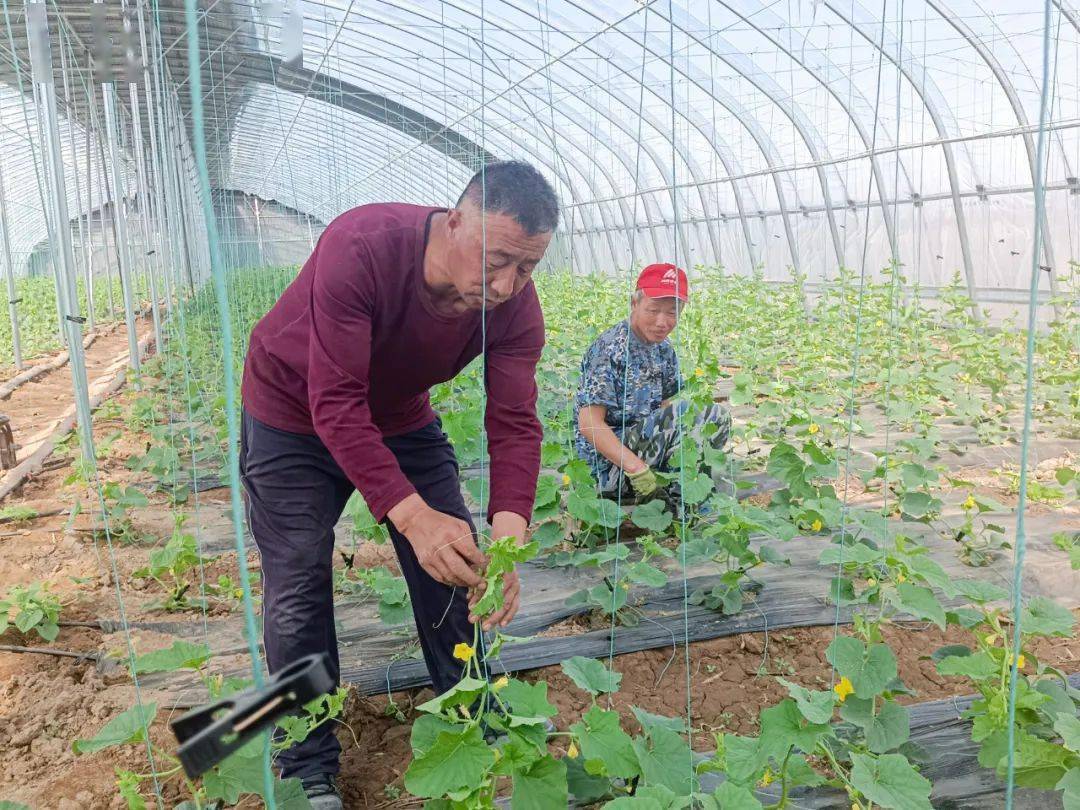 杭錦後旗開展網絡媒體行助力鄉村振興活動