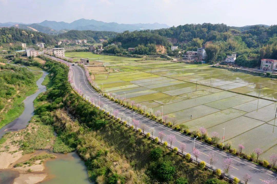 五华这条公路,被评为梅州最美农村路!_乡村_风景_步一