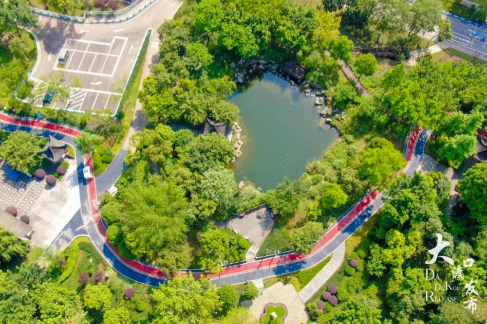 起来碧色无边被郁郁葱葱的树木包围位于义渡公园南园这颗"义渡之心"