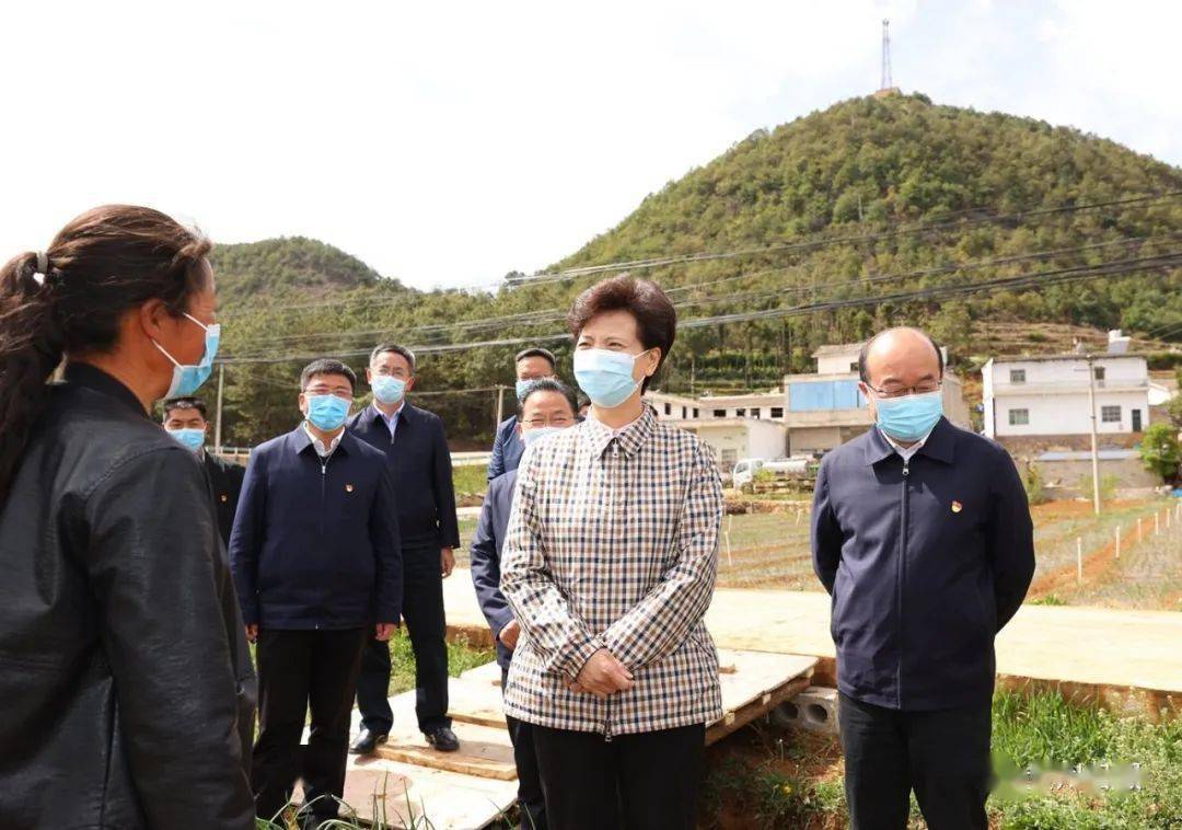 省委书记,省人大常委会主任谌贻琴来到她的乡村振兴联系点毕节市威宁