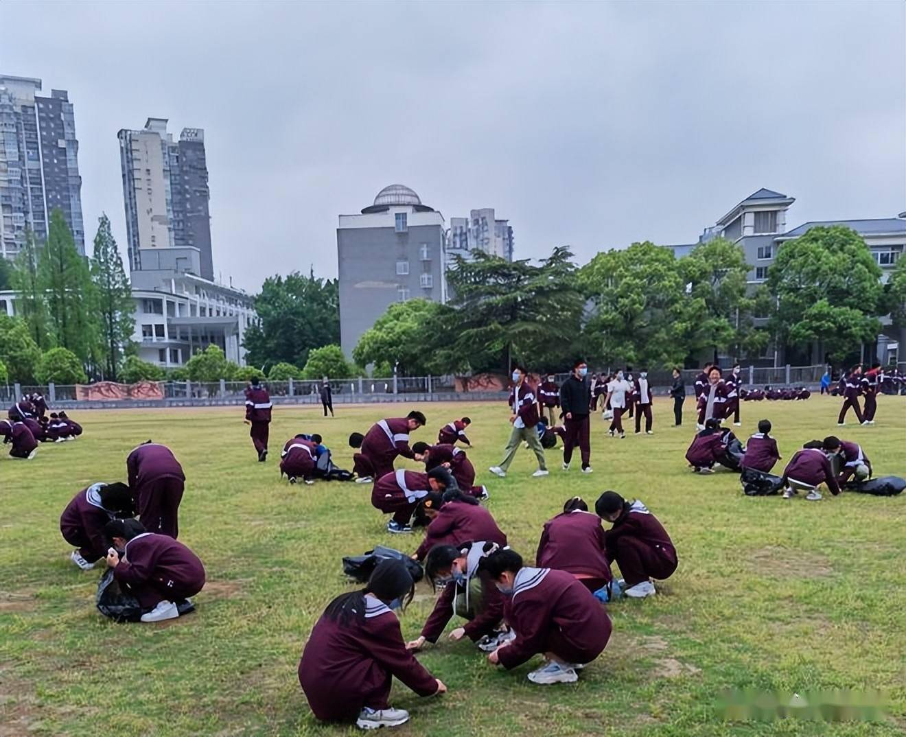 常德市一中开展拔草劳动技能竞赛