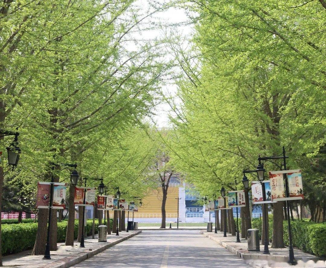 春日宴校园好风光河北东方学院团委带您云游春日校园