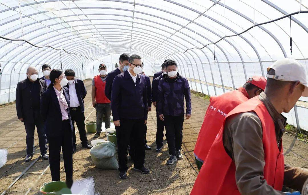韩福春一行先后来到中国农资辉南化肥配送中心,朝阳镇兴德村三和农场