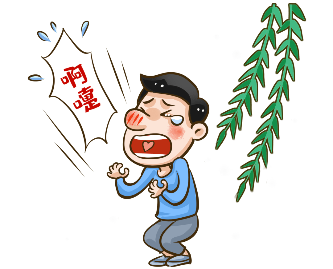 北京进入首个杨柳飞絮高峰期四月飞雪如何进行健康防护