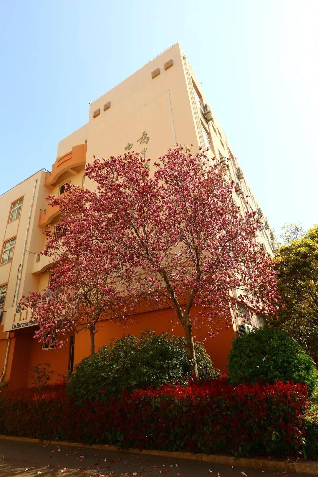 qd58.qdedu.net微信公众号:青岛五十八中