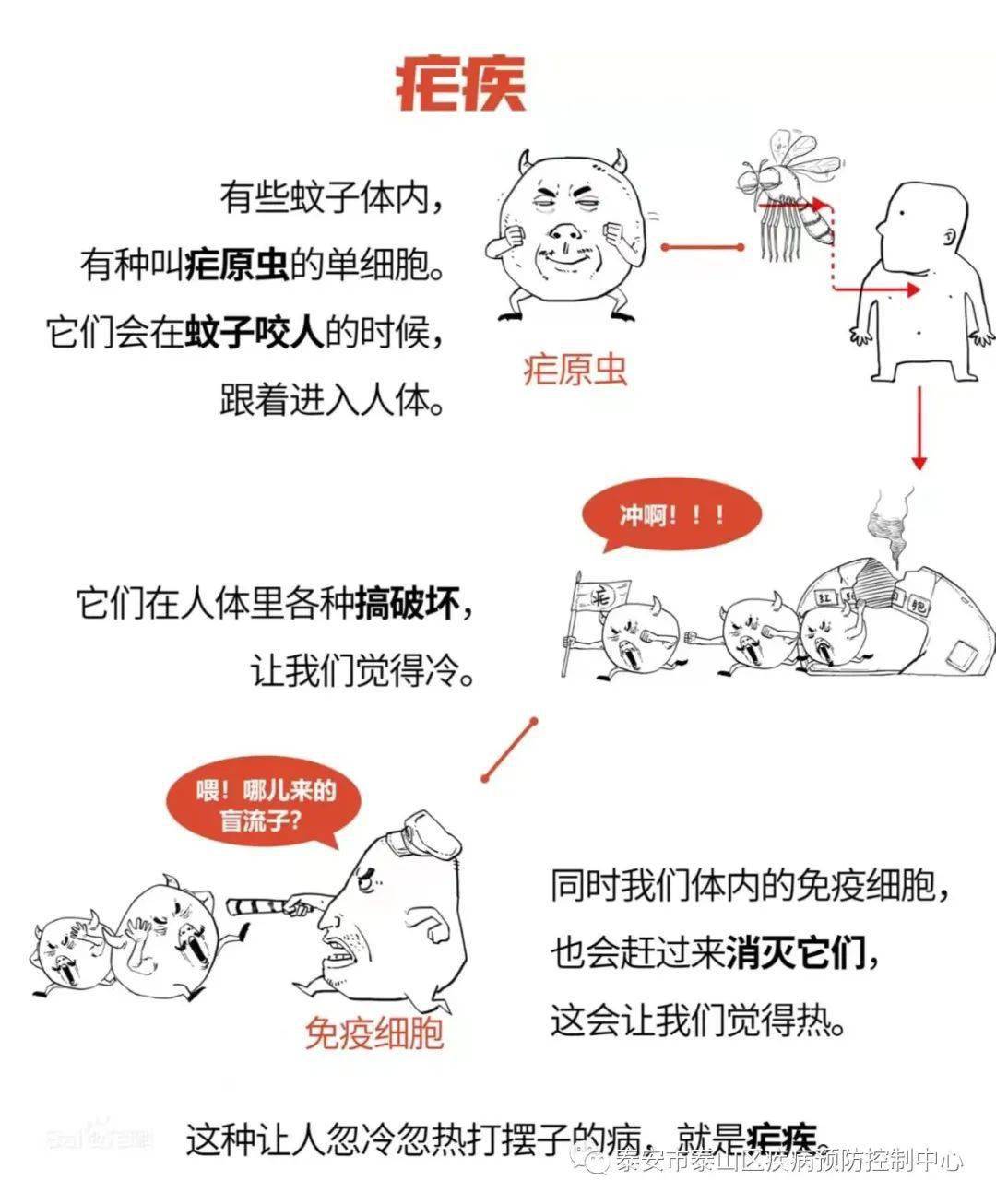 1,疟疾是一种什么样的疾病?