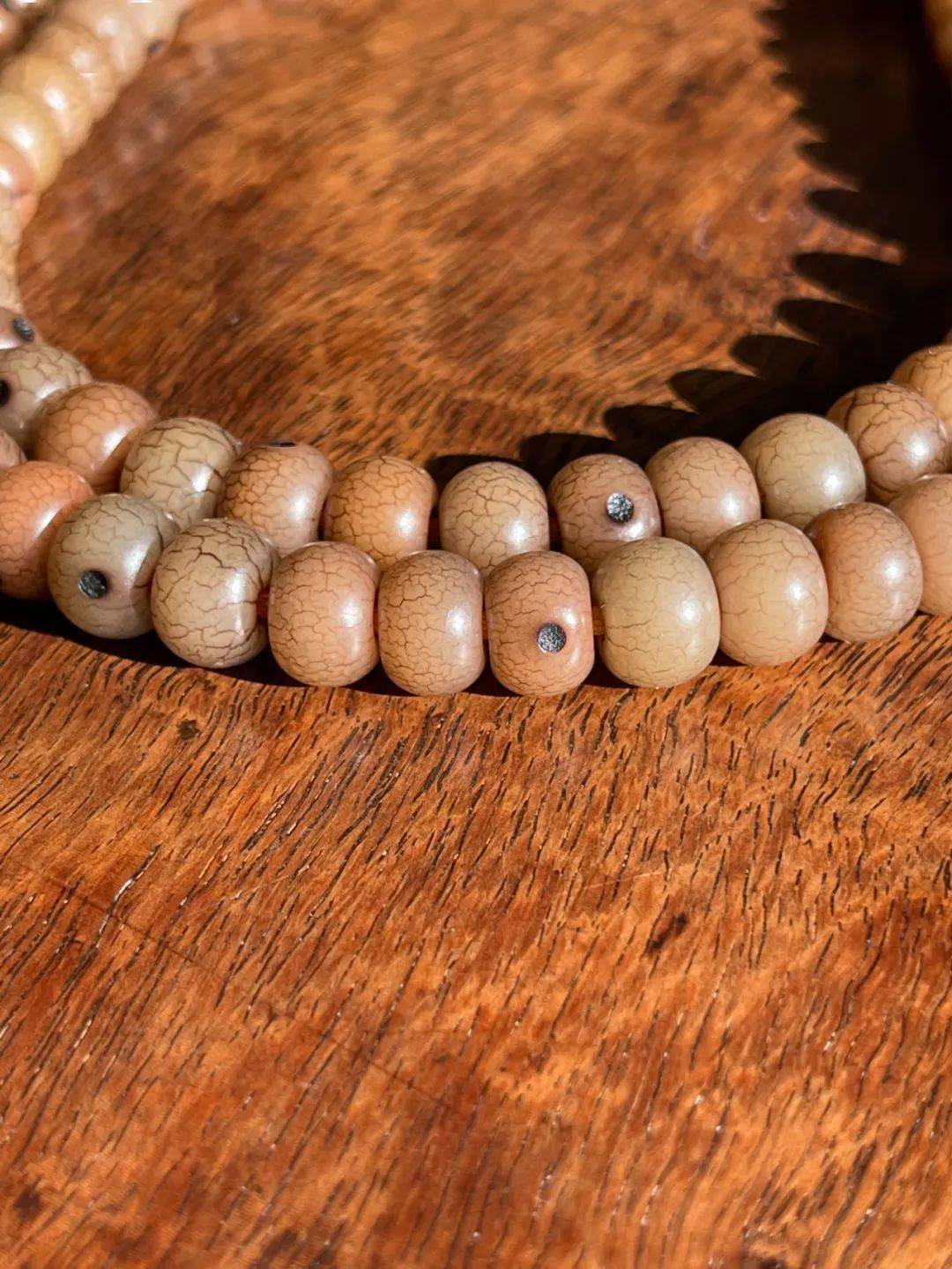 菩提根是一种菩提子,并不是树根,而是棕榈科贝叶棕植物的种子