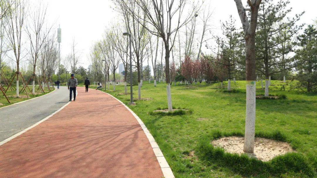 咱丰台老百姓家门口的公园丽泽城市运动休闲公园