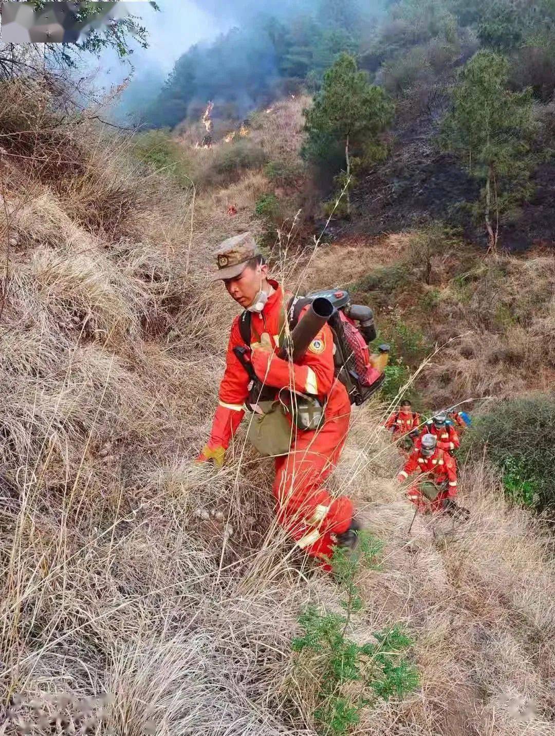 会泽迤车的这场山火损失达1300多万元造成一死一伤被判刑5年零6个月