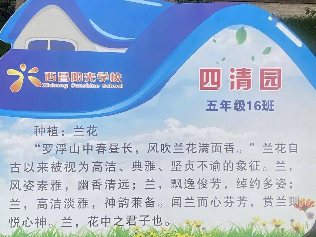 一米阳光相约四清园