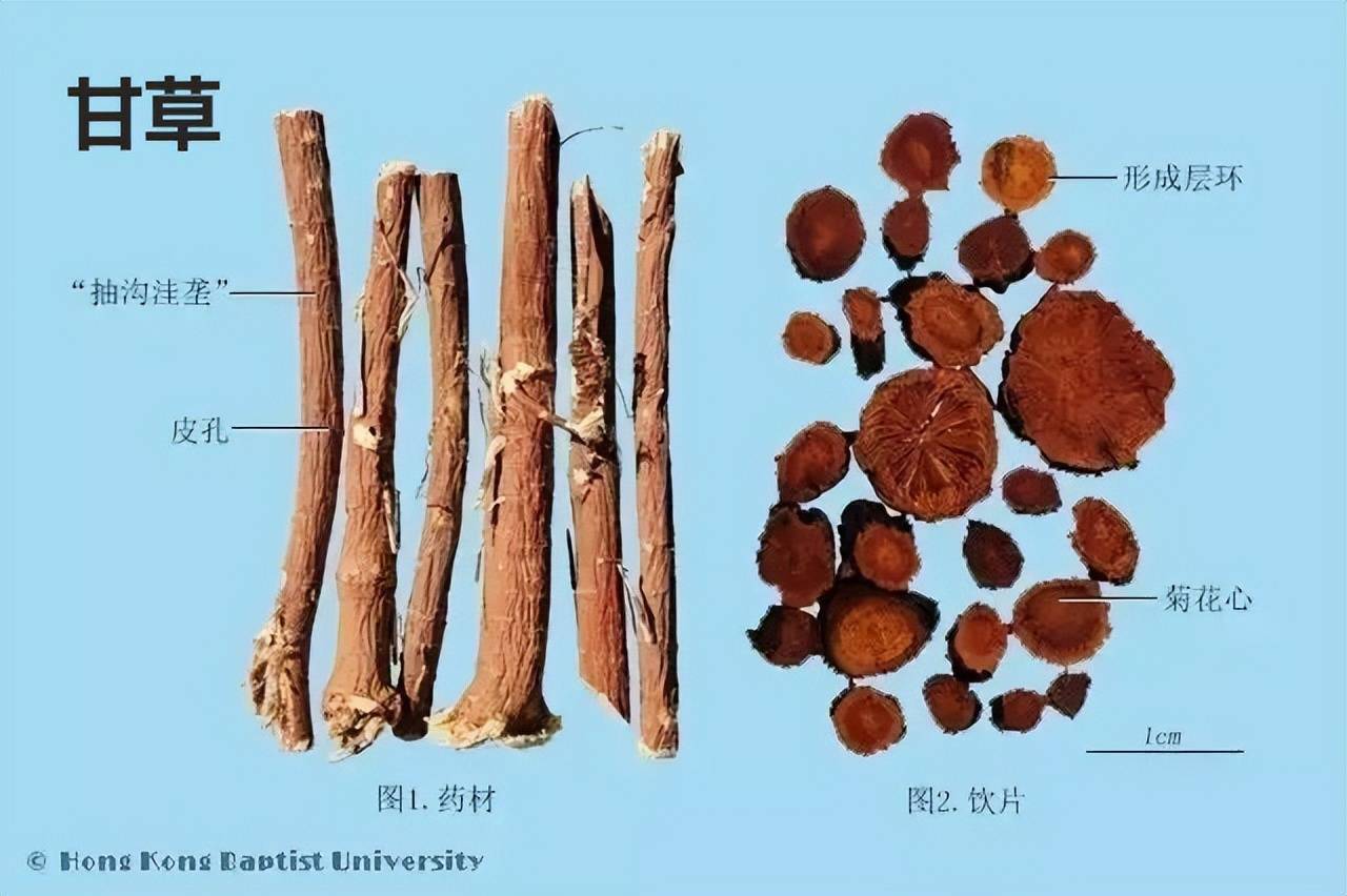 甘草真假鉴别图片图片