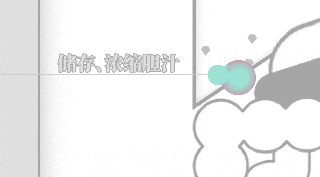 长期不吃早餐的人,后来都怎么样了