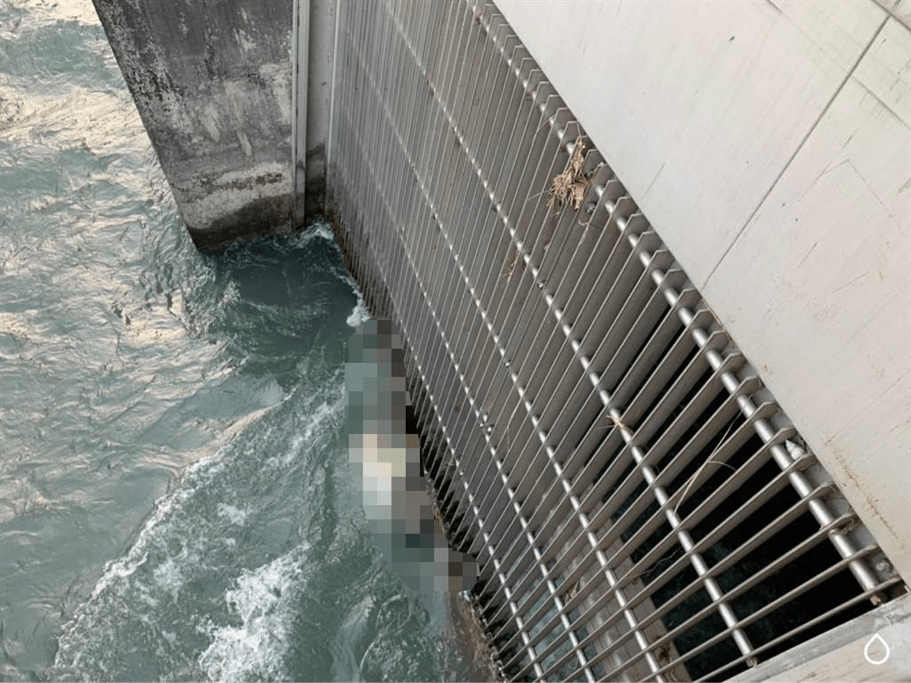 台媒:台南市一净水厂水门出现浮尸,死者家属3天前报告其失踪_警方_男子_曾文