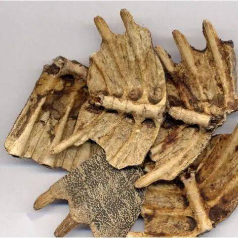 如何煎好中药这几种特殊煎法要掌握