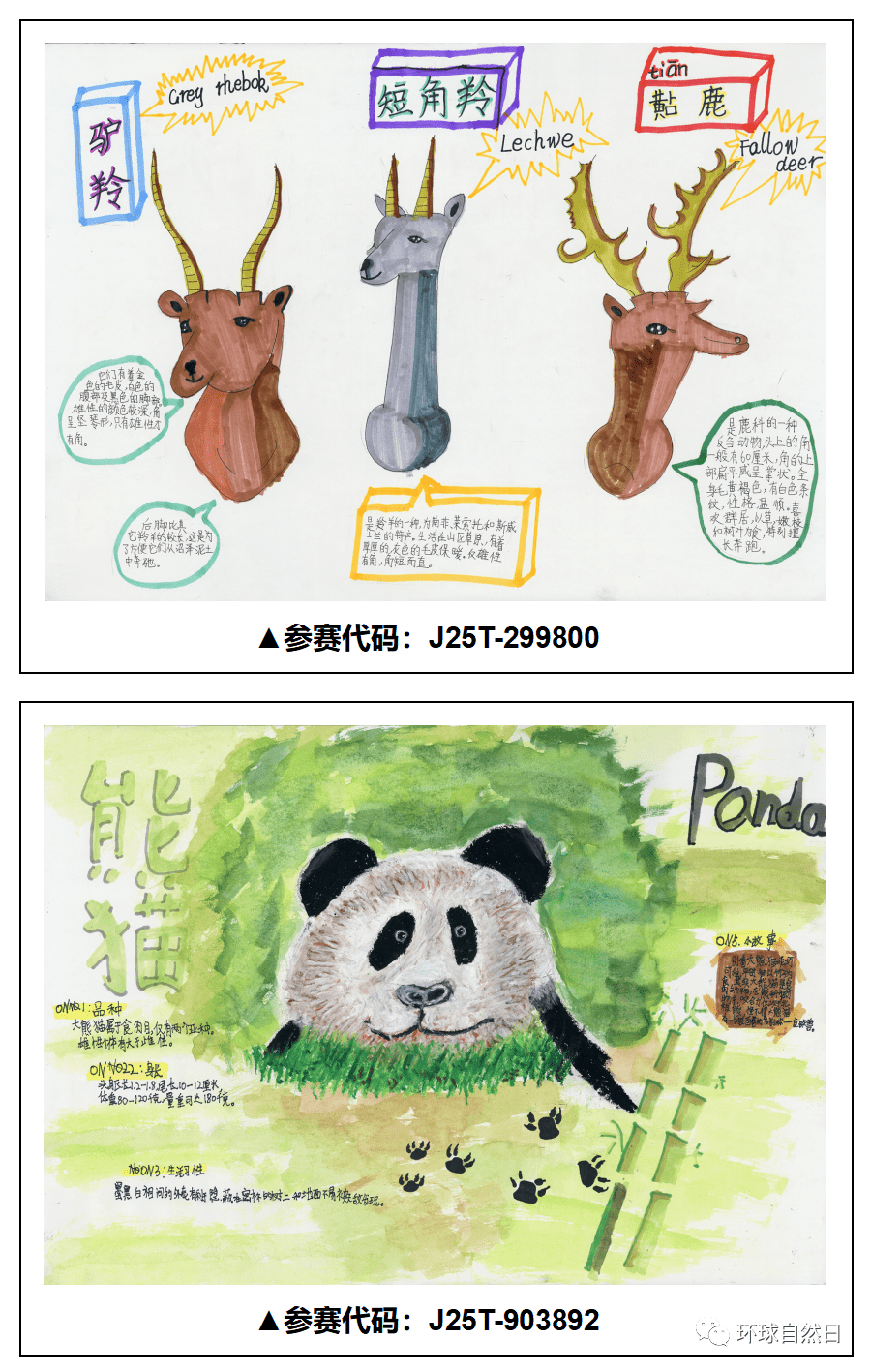 官宣环球自然日2021总决赛科普绘画作品赏析