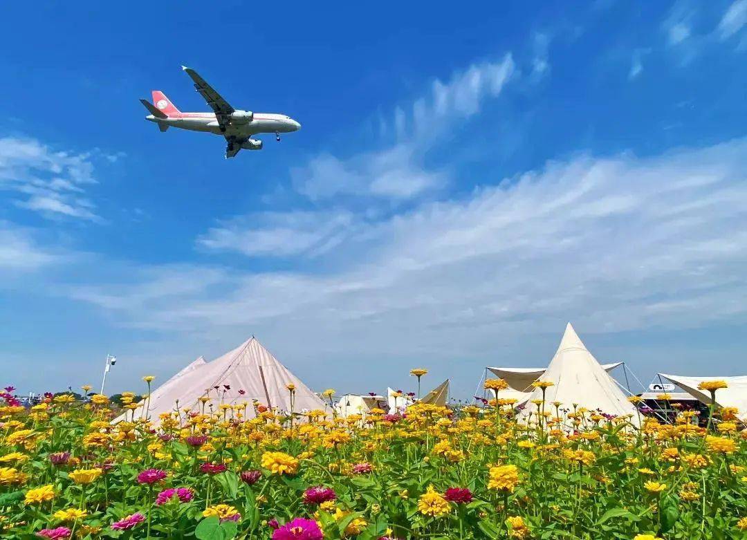 踏尋春景,雙流這邊獨美_公園_機場_黃水鎮