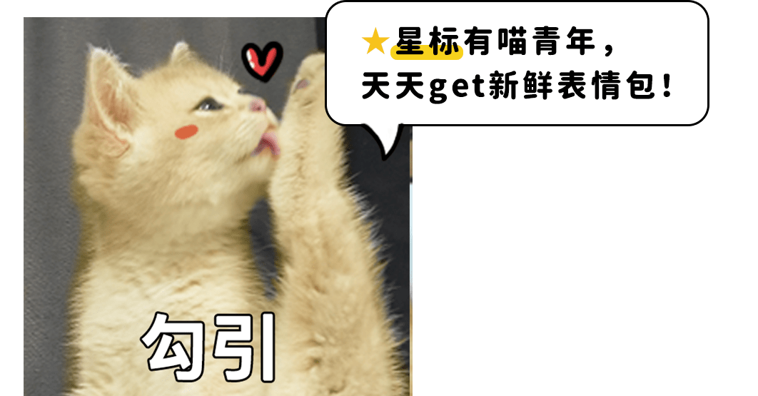星标我天天tou拿新鲜表情包