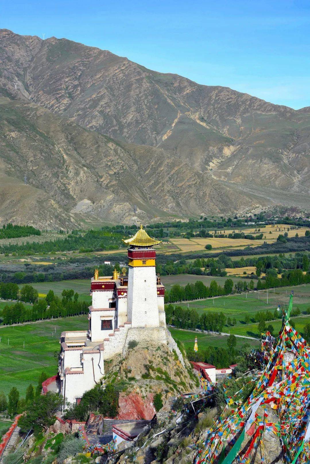 拥有众多个"第一"!