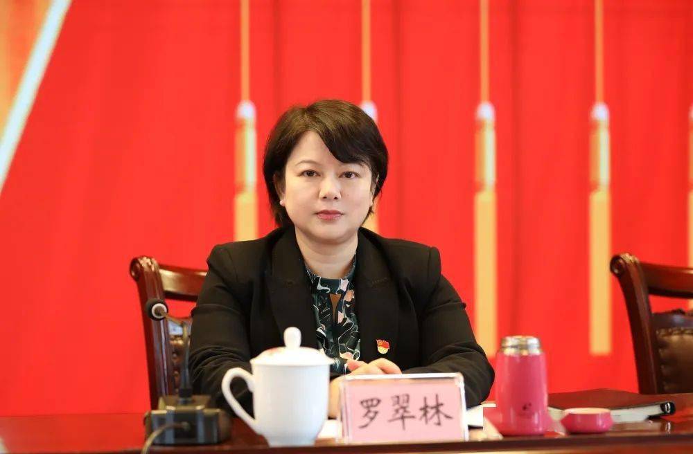 省纪委监委驻省审计厅纪检监察组组长,厅党组成员罗翠林传达学习十九