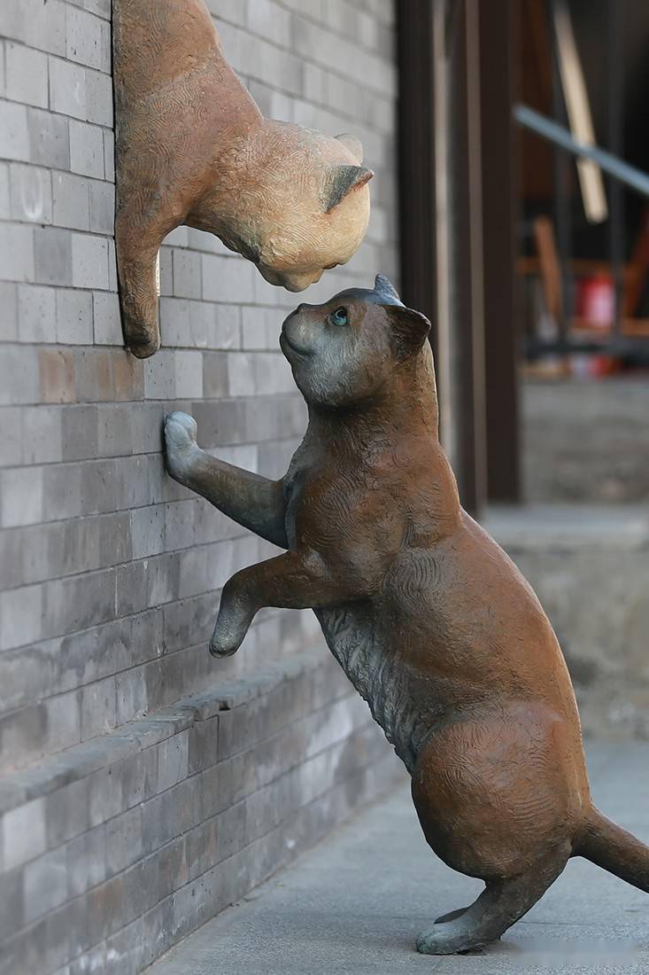 京西古道模式口栩栩如生的猫雕塑遛娃好去处