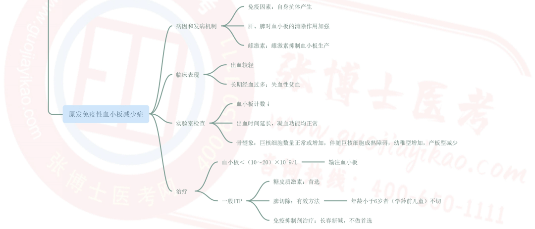 思维导图血液系统