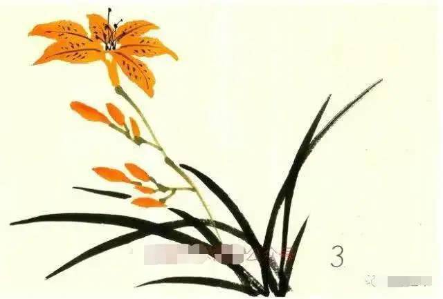 写意花卉画的整体画法各种写意花卉画法图文详解