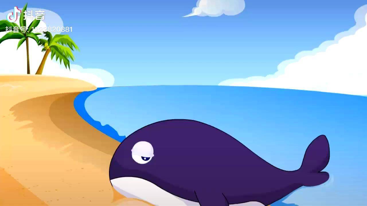 大鲸鱼在海边,太惊险!看故事,听故事!