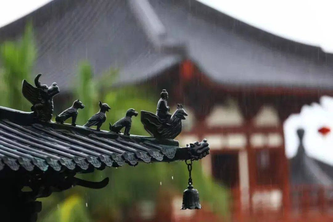 谷雨时节 暮春初夏 相约有期_Grain_南山_阳光