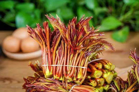 今日谷雨:春欲止,夏将至_度假_降雨量_布谷鸟