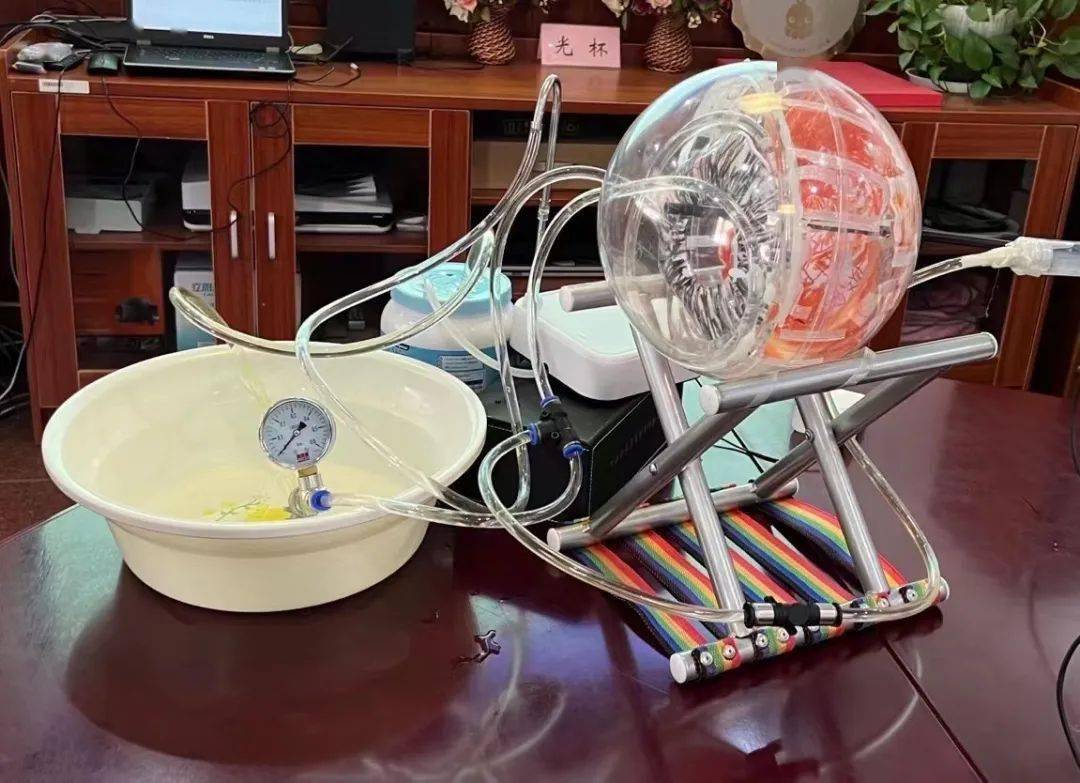 我校东校区初二学生王铭昊和刘非凡的集体项目荣获一等奖,高三学生