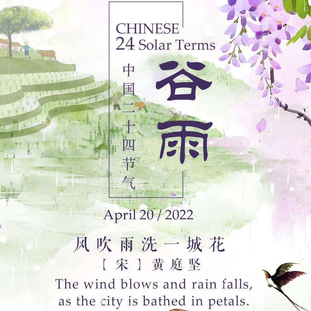 今日谷雨_时节_雨水_牡丹