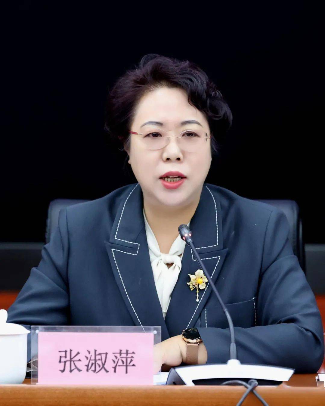 全市创城工作提升年动员大会召开_陈苓丽_李显_朝阳市