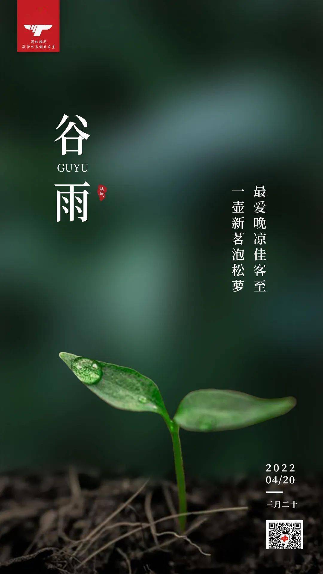 【精美图片】谷雨:最爱晚凉佳客至 一壶新茗泡松萝