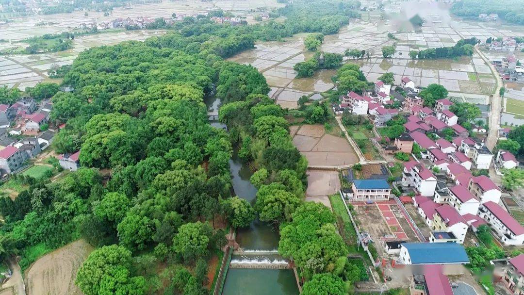 【视频 组图】江西万安:赣江水润山乡生态美_兰田村_乡情_枧头镇